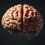 Benefits of Grandchildren for Grandparents’ Health